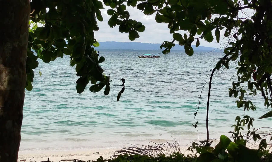 vista del mar desde la junga en el parque nacional cahuita